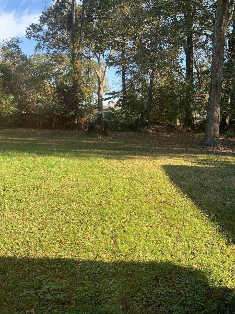 Large back yard. 