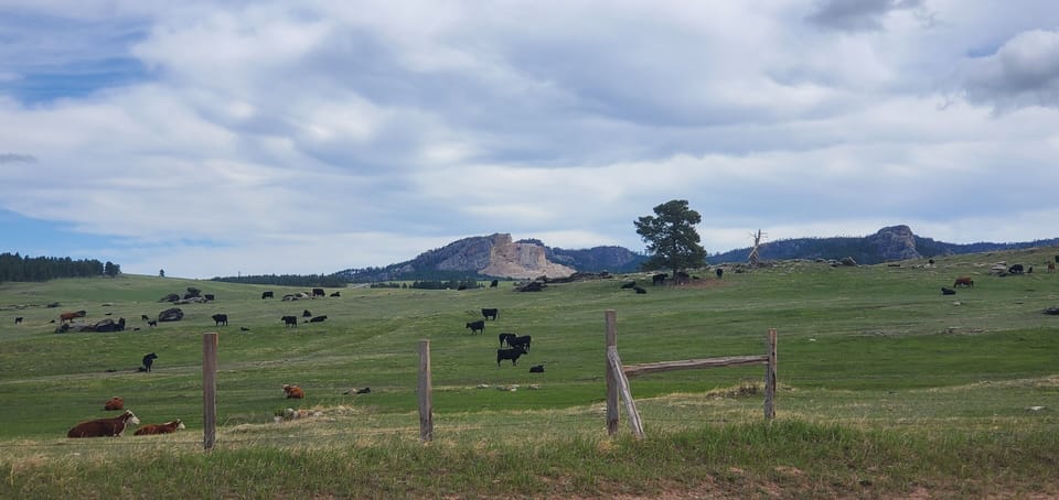 View of Crazy Horse on the two mile stretch of road to get to the Cabin