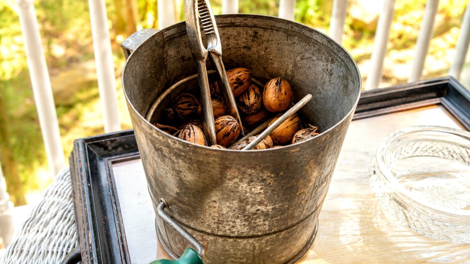 The pecan trees have been here longer than the cottage.