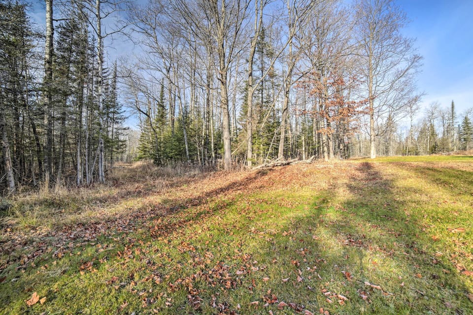 Cornell Nature & Trail Views