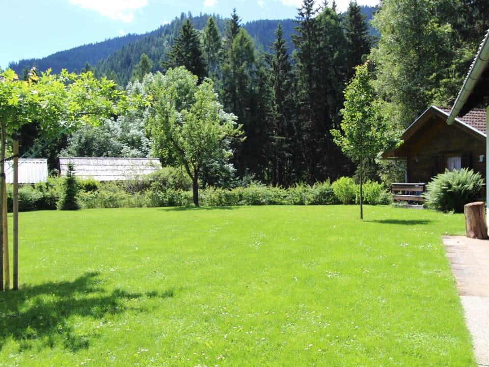 Garden [summer]
