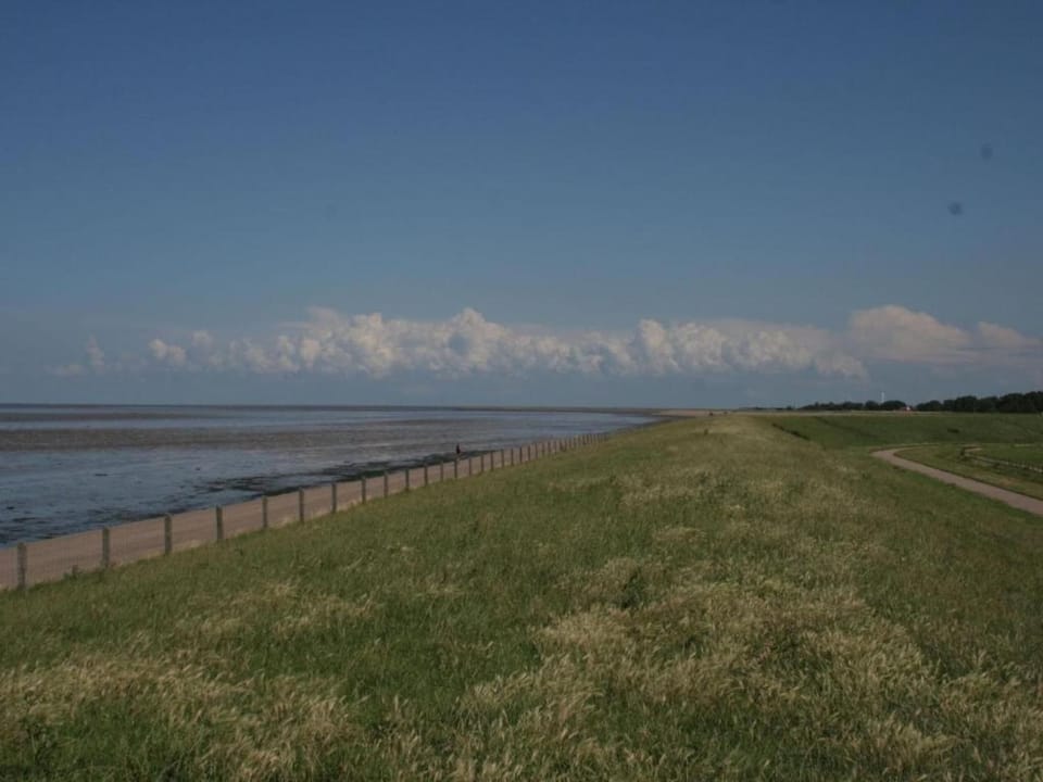 Region [summer] (>5 km)