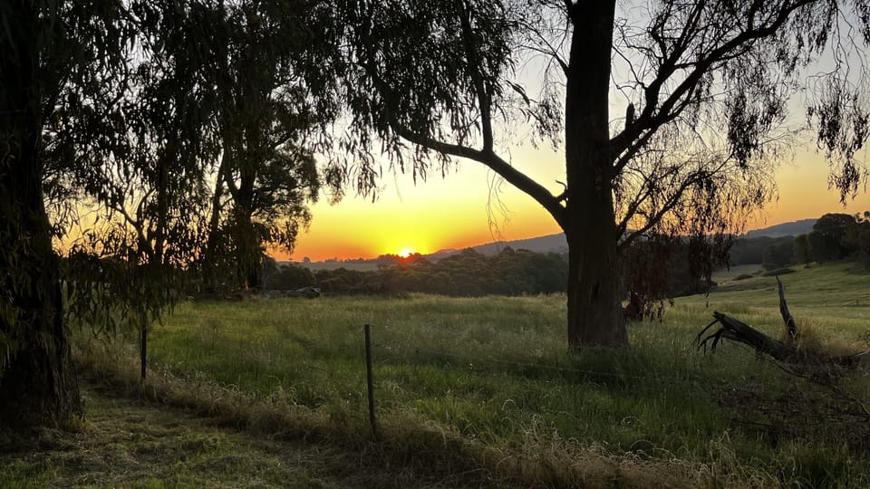 Sunset views