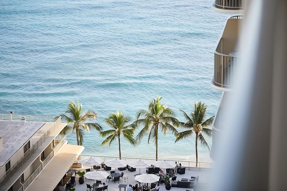 Look down on lively lounge areas framed by swaying palms.