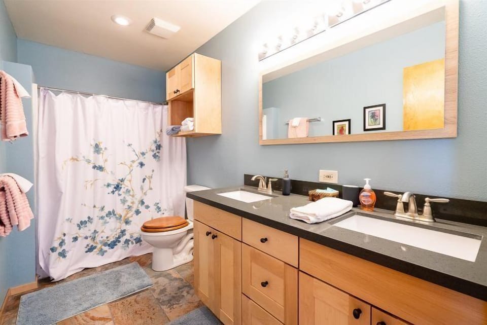 Guest bath main floor