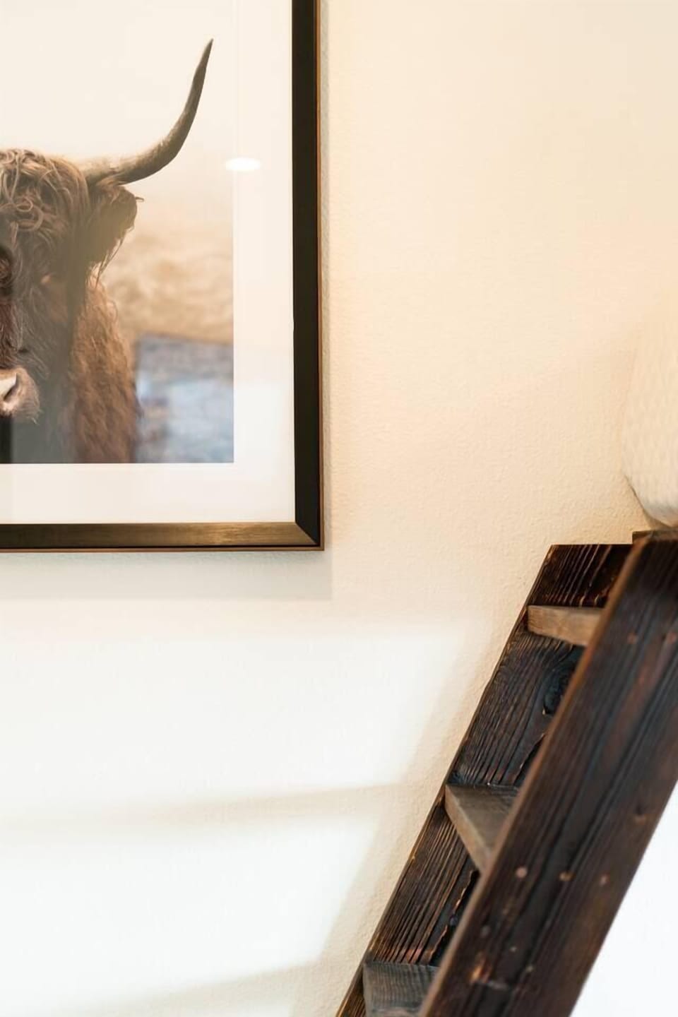bed steps