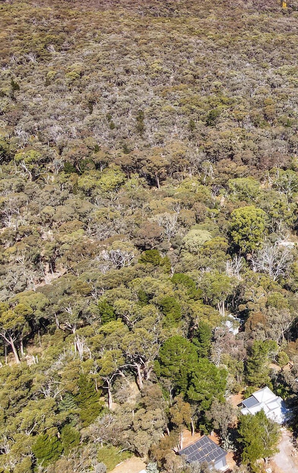 Looking south to neighbouring Daylesford