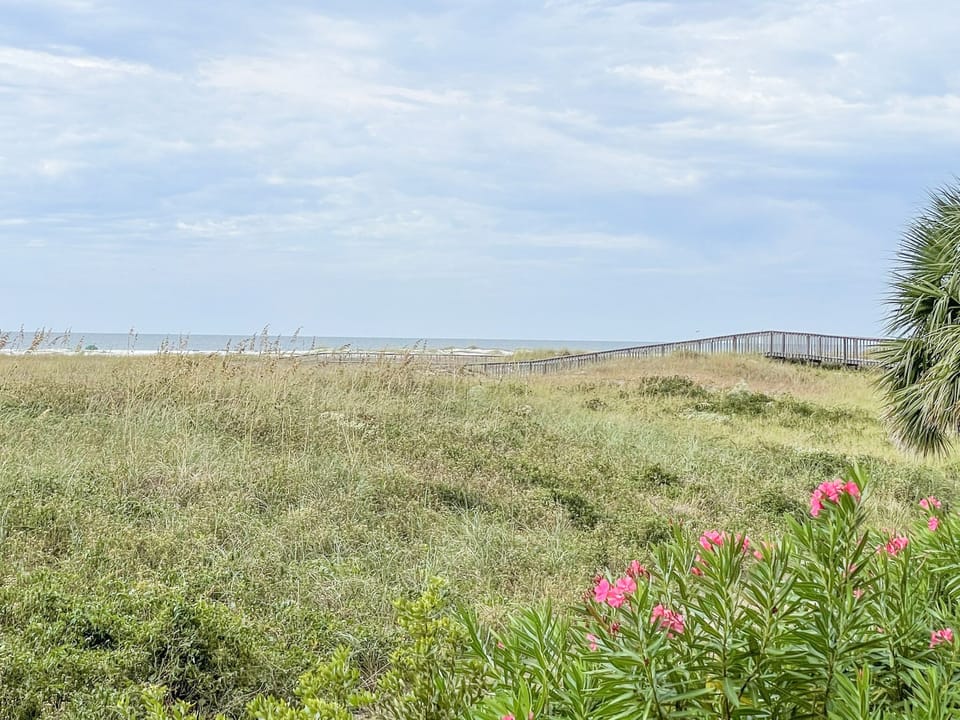 Gulf Front View From Patio 
