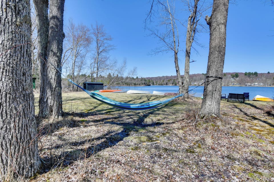 Shared Hammock