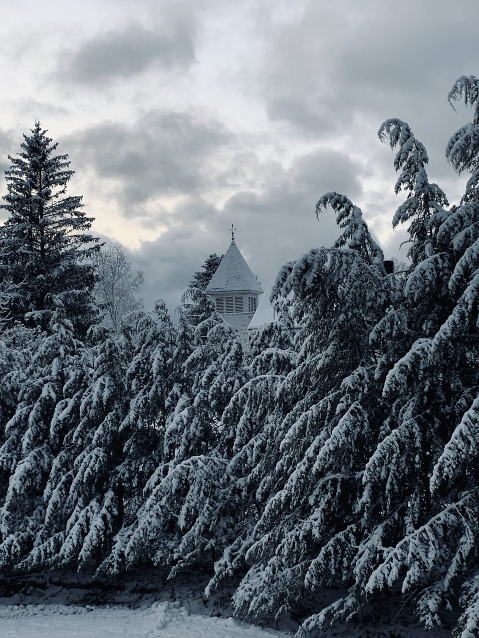 SNOWY PRIMARY BEDROOM VIEW