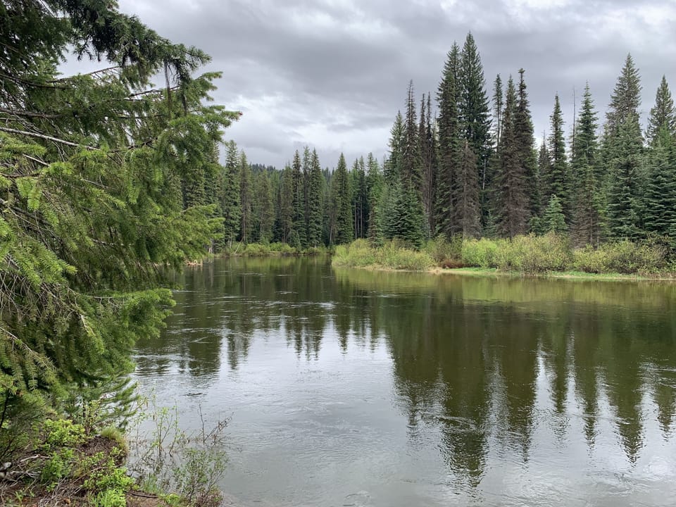 The Meanders section of the Payette River (North end of the lake)