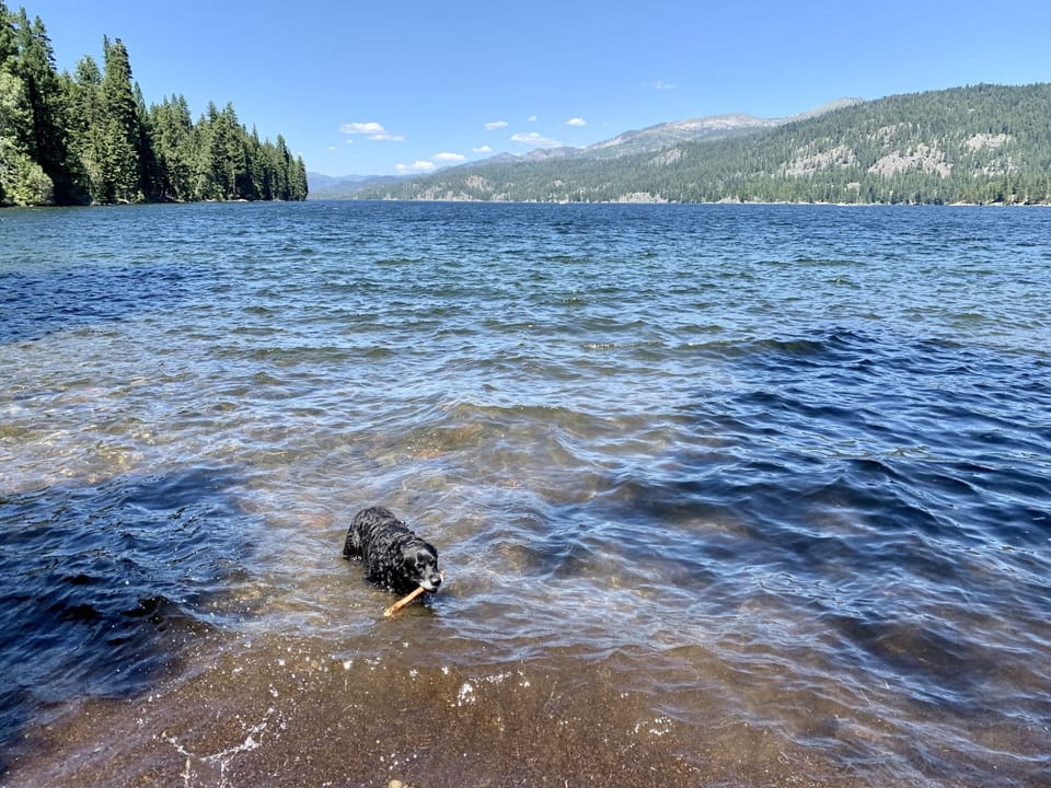 Ponderosa State Park is a short bike ride from the home.