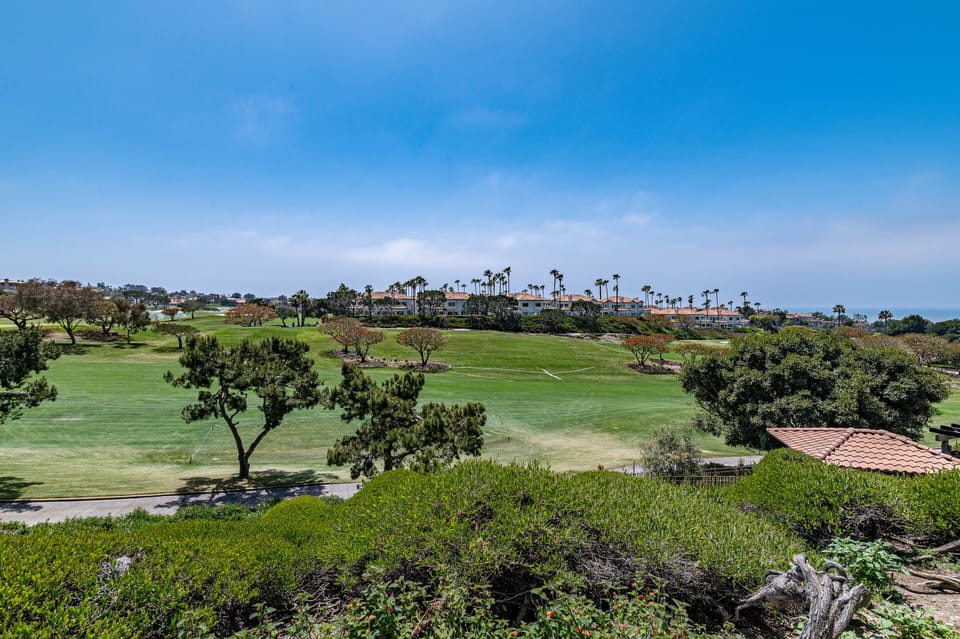 11th fairway