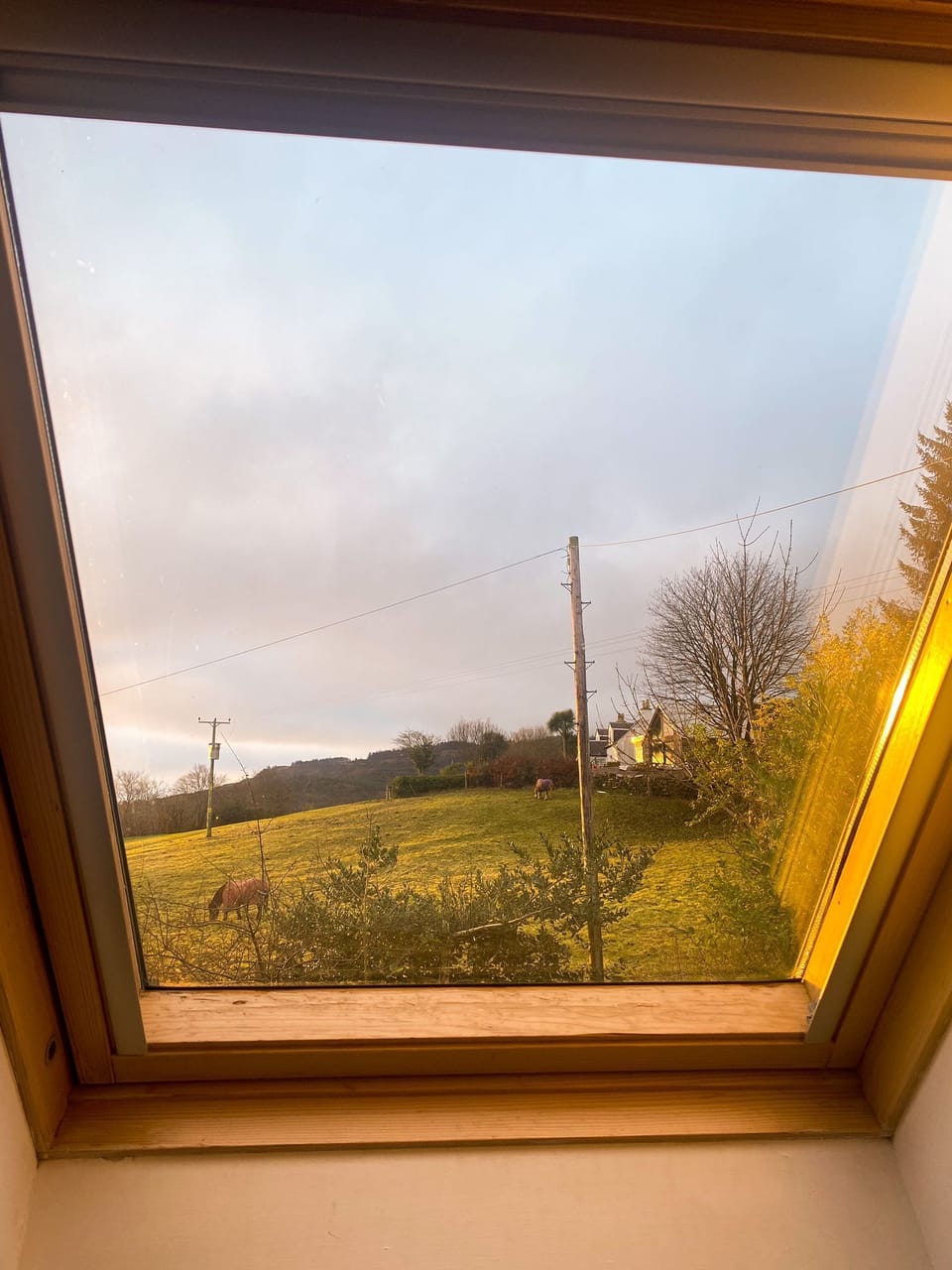 View from main bedroom window 