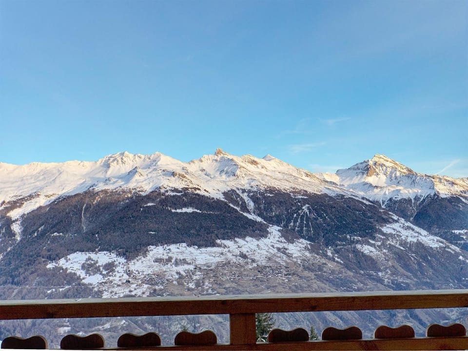 view