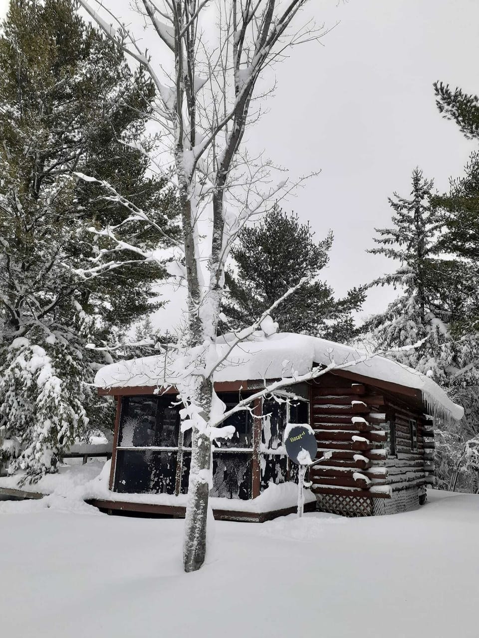 Winter wonderland