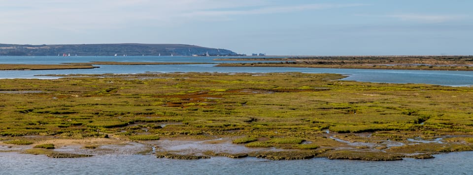 Salt Marshes with views of the Isle of Wight