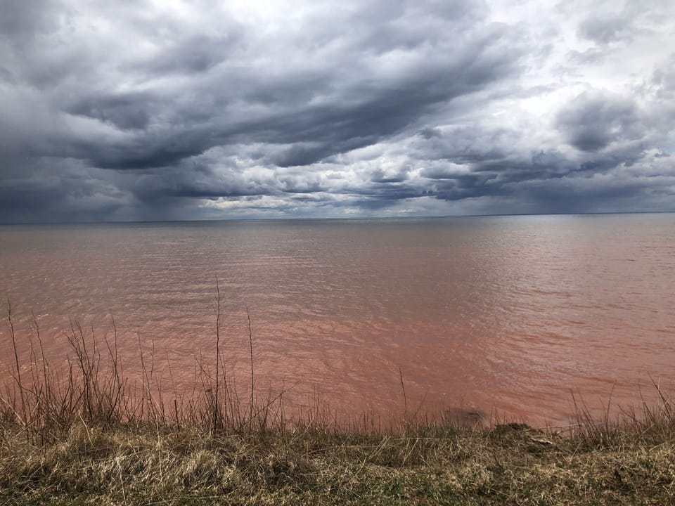 Even cloudy days here are pretty amazing!