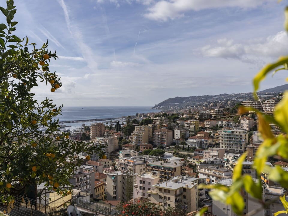 Cloud, Sky, Daytime, Plant, Building, Yellow, Urban Design, Landscape, City, Arecales