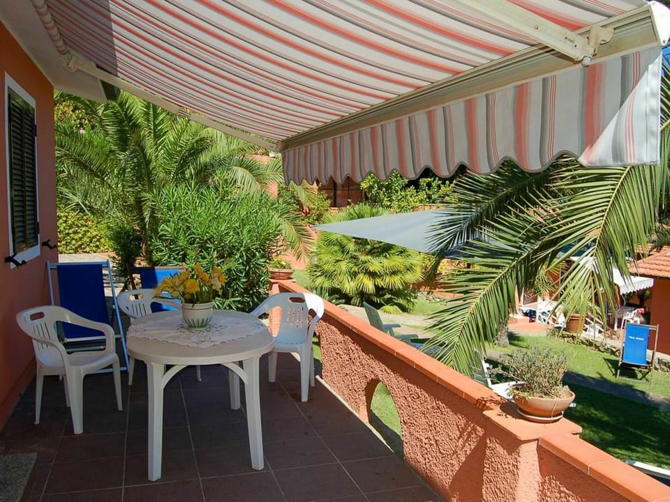 Plant, Furniture, Shade, Chair, Outdoor Furniture, Houseplant, Table, Flowerpot, Leisure, Wood