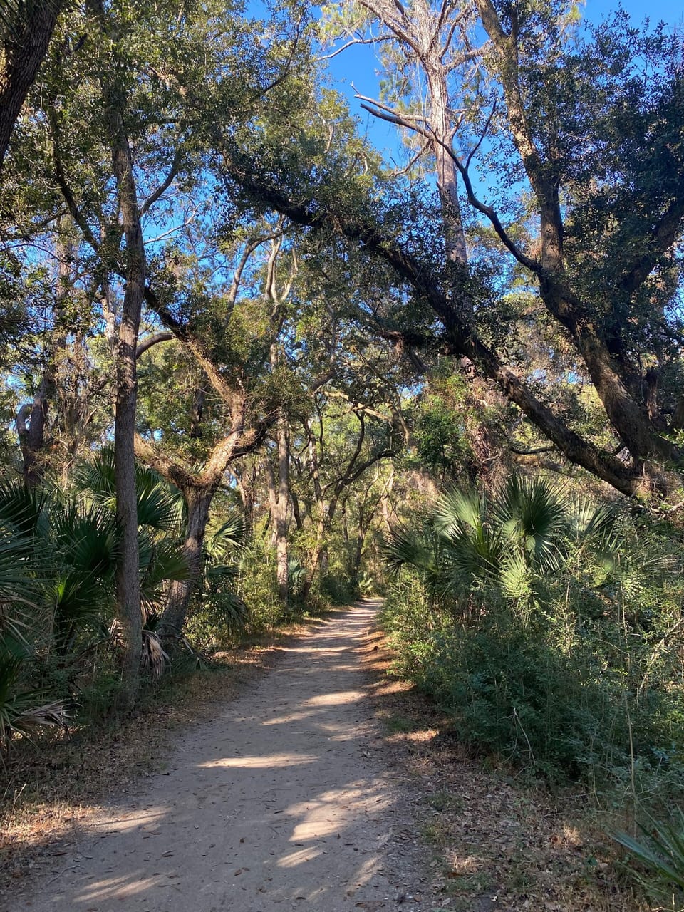 Nearby gorgeous hiking trails part of state park
