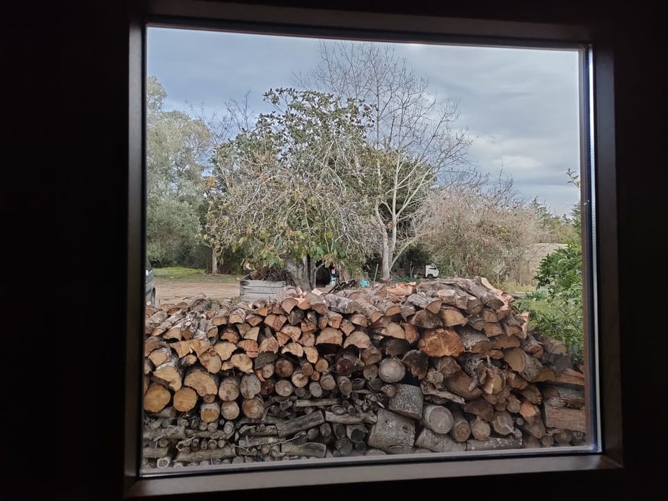 Leña vistas desde la ventana interior