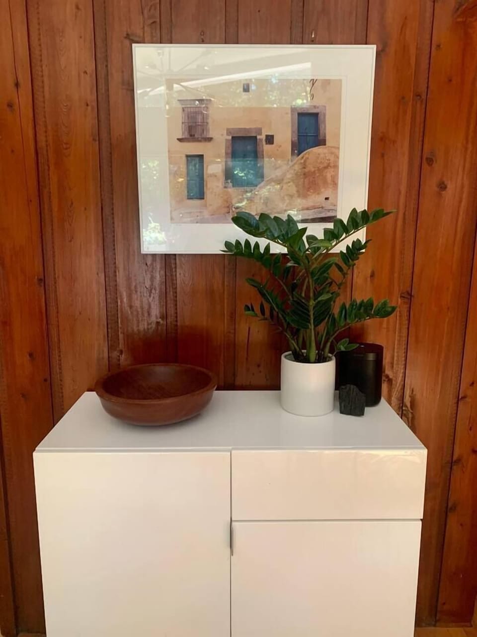 The room exudes an elegant aesthetic with its meticulously arranged cabinet. A tastefully placed plant in a white pot adds a touch of natural beauty to the space.The backdrop of the wooden wall further enhances the overall charm.