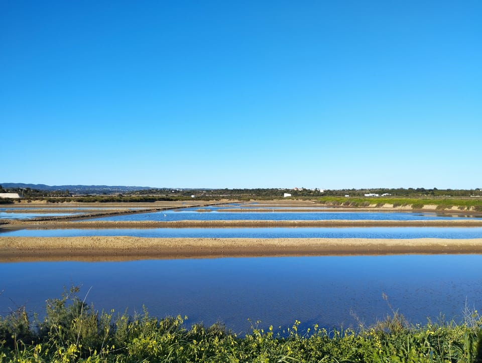 Salinas 