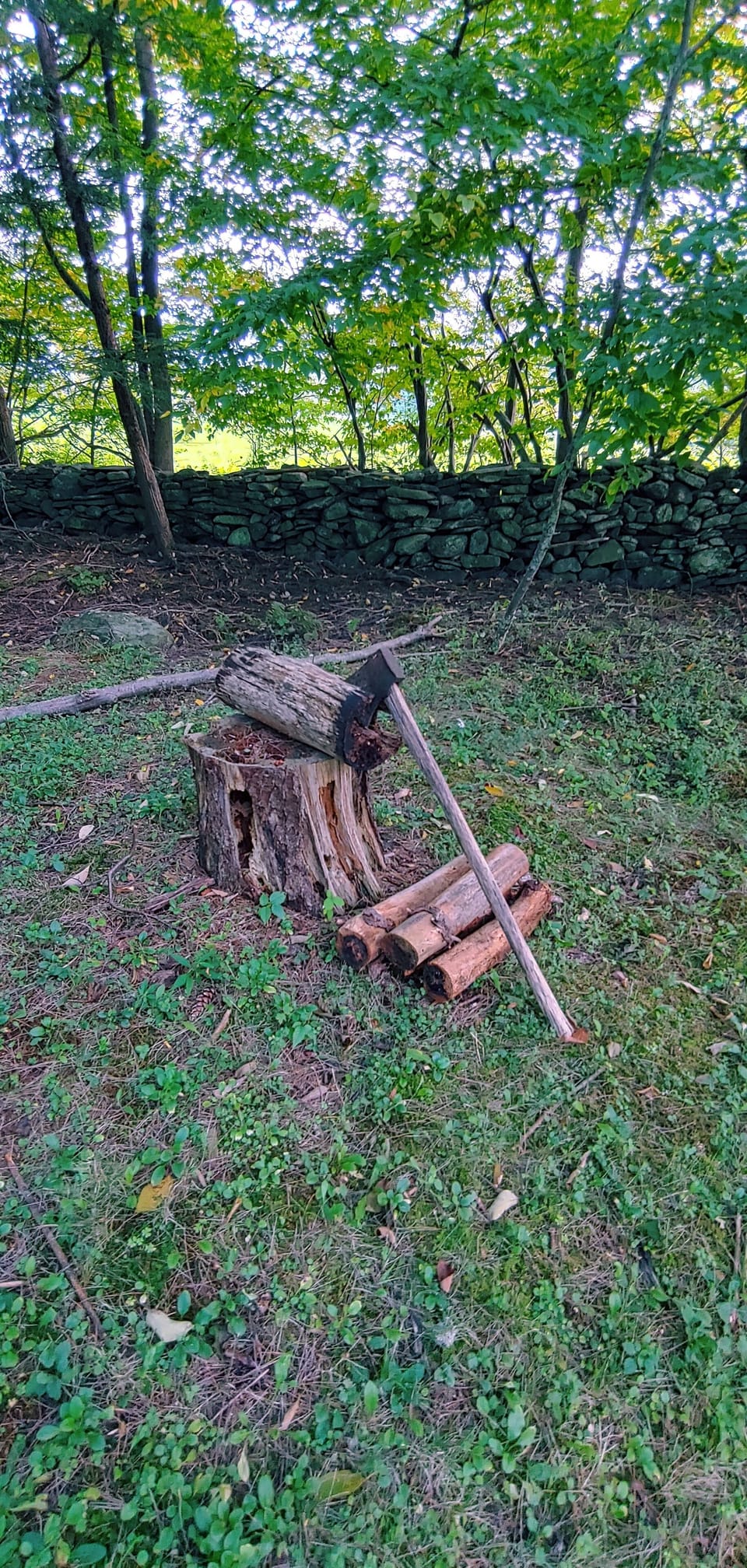 Rustic scenes at every angle, for great family photos! (tools not for play/use)