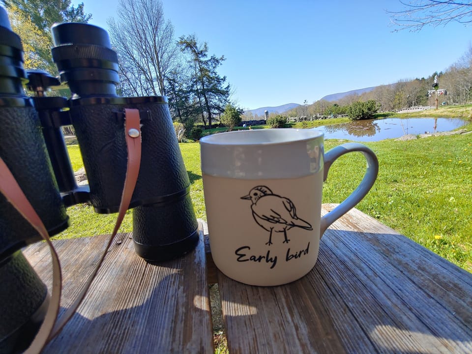 Use our binoculars for early morning bird watching! 🐦