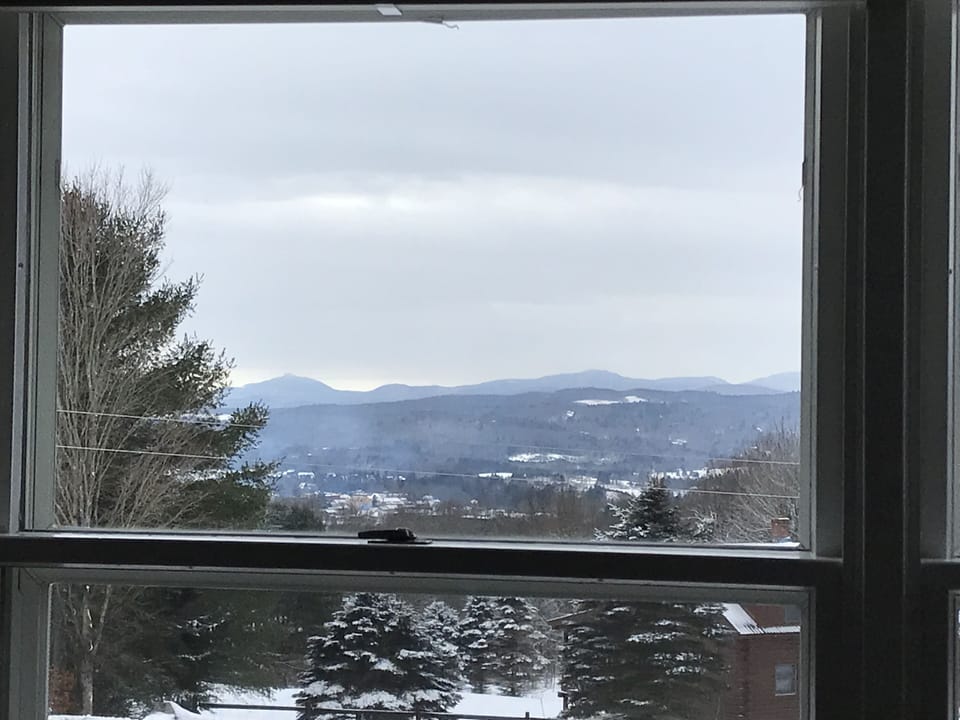 Winter view out living room windows. 