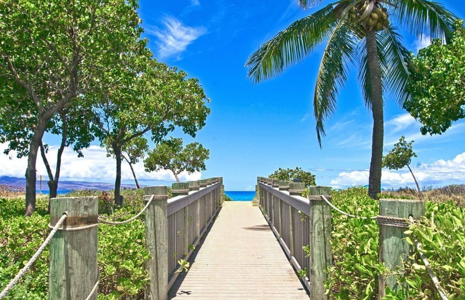 One of America's best beaches is just steps away
                