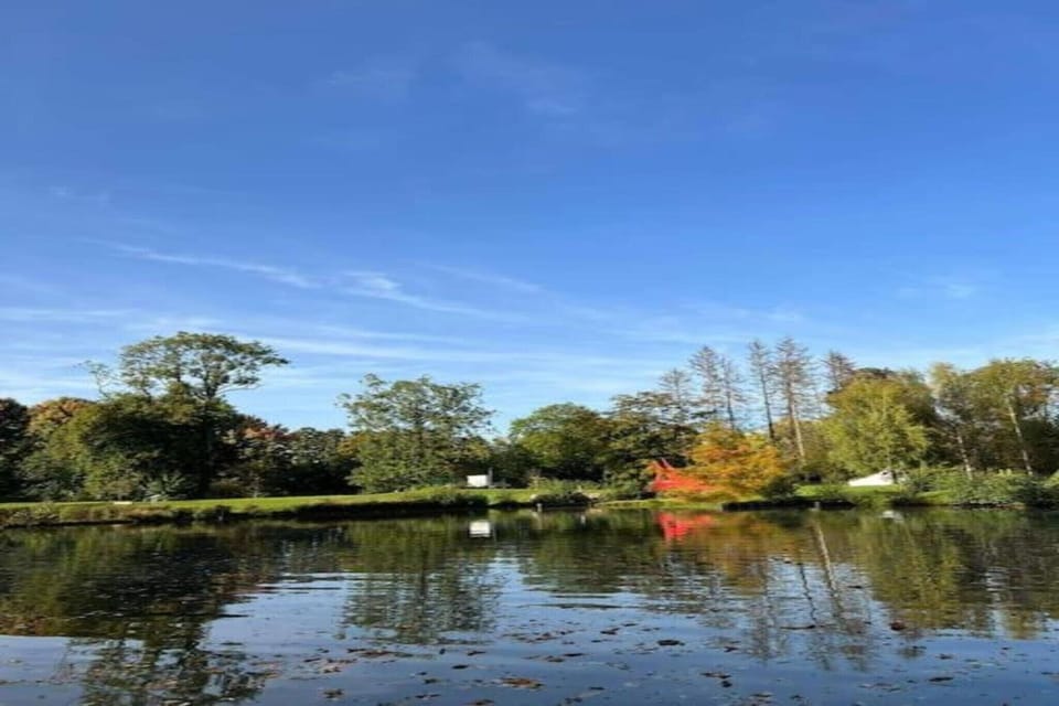 Region [summer] (>5 km)