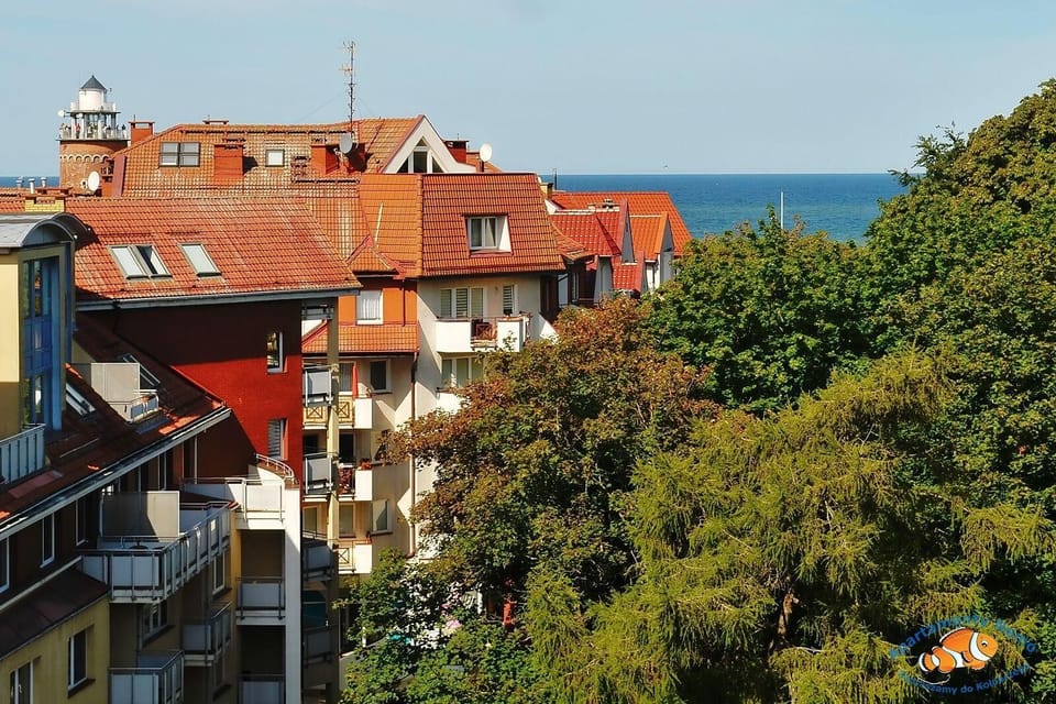View from the window