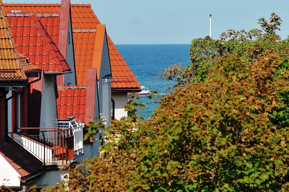View from the window