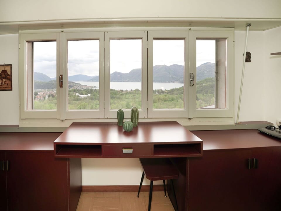 Window, Property, Table, Furniture, Plant, Sky, Building, Cabinetry, Wood