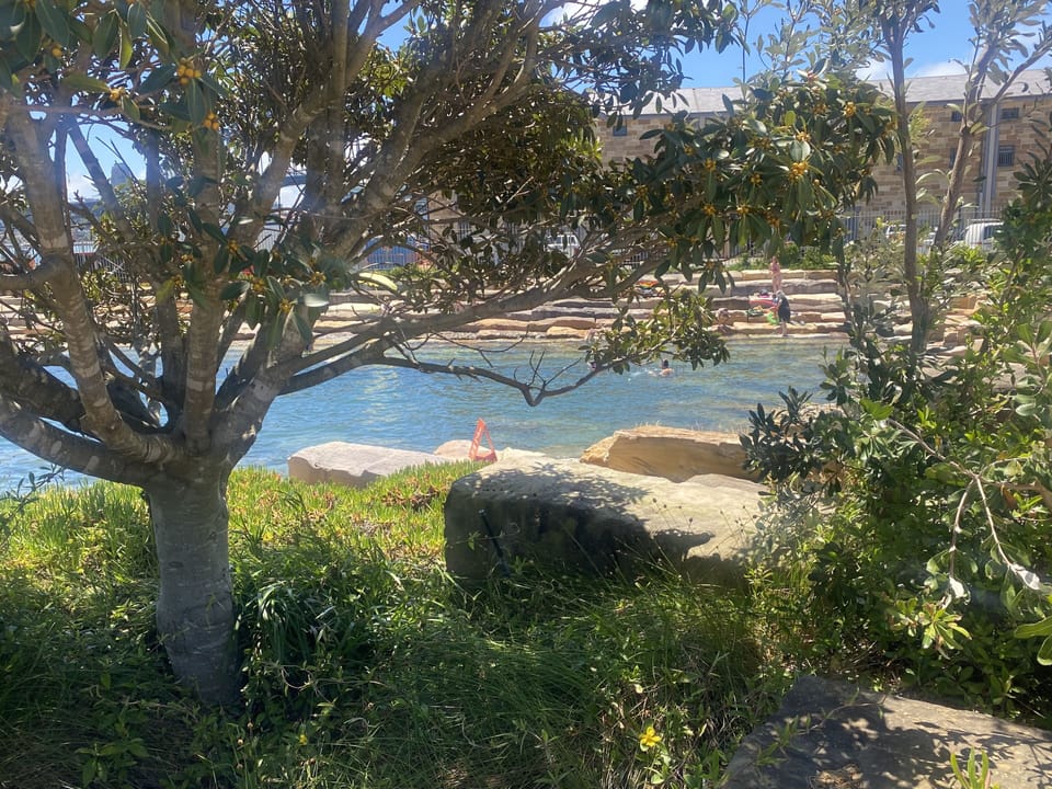 Once more 'our back yard'....ask about our 'picnic baskets' to take along.