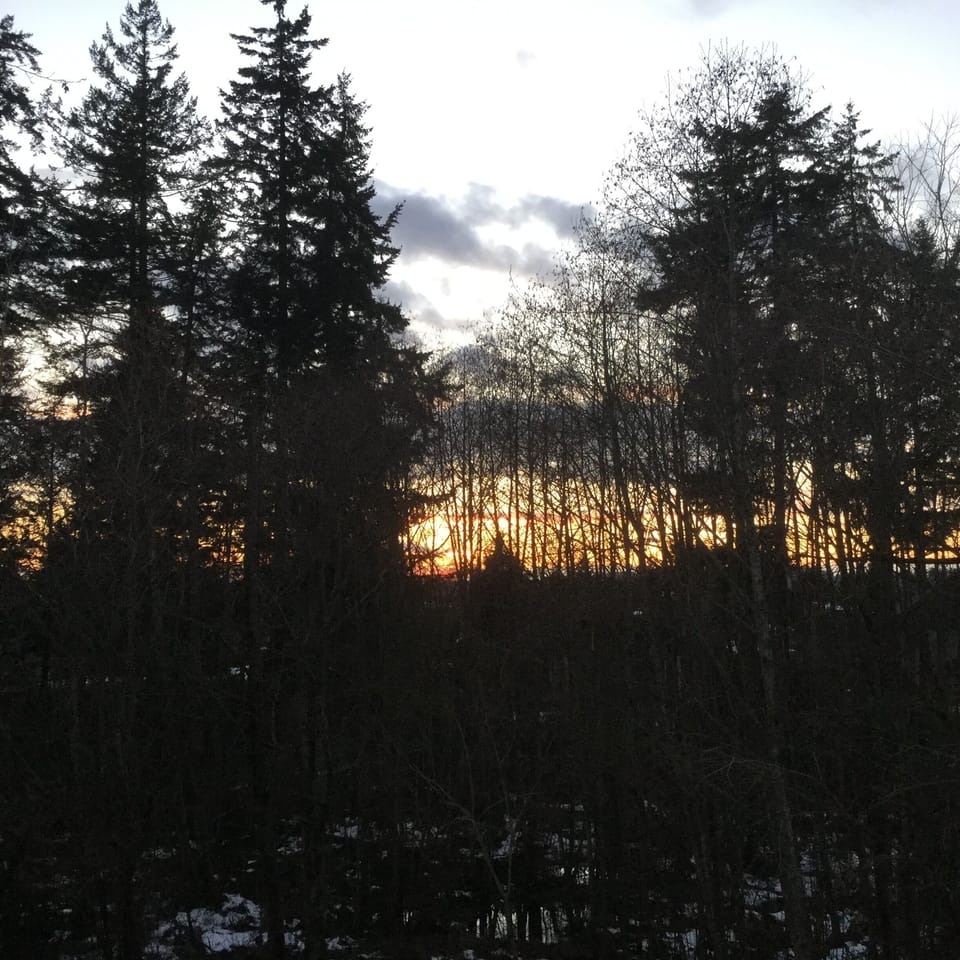 Changing view to the back yard