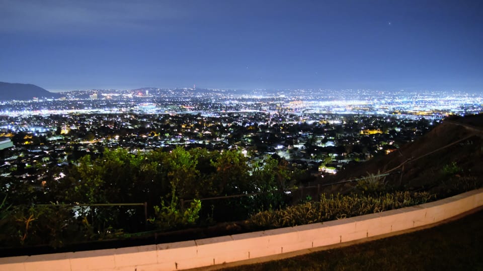 Back yard view
