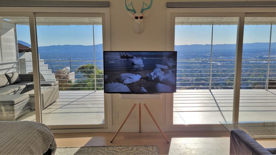Master bedroom easel-stand TV and Alberto the deer