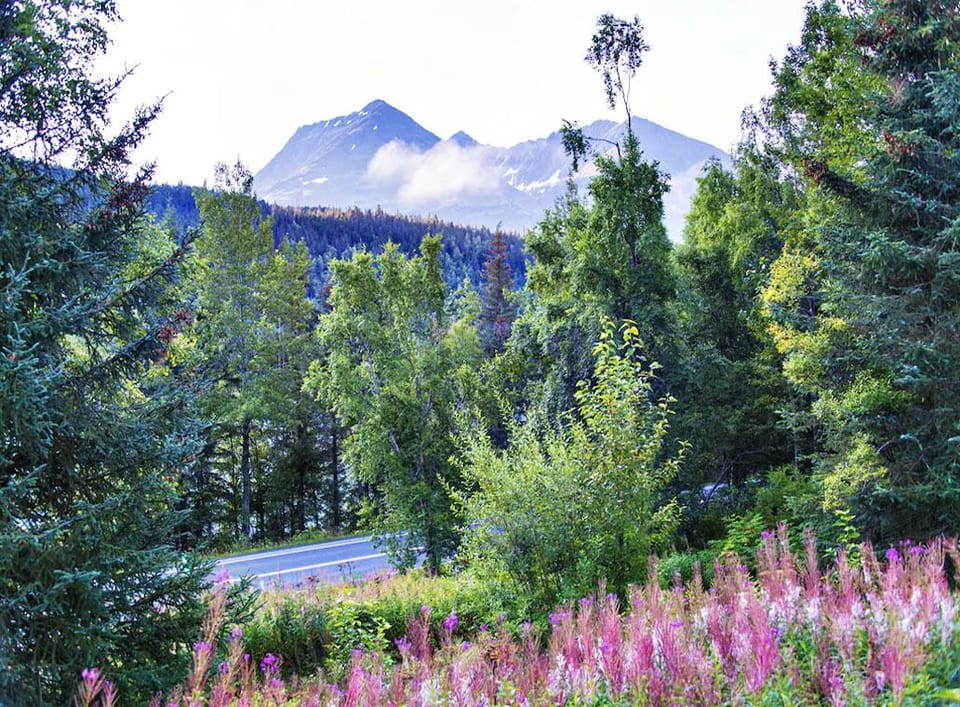 Front porch view