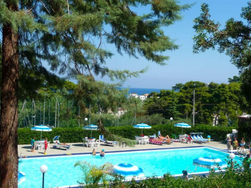 Pool Outdoor