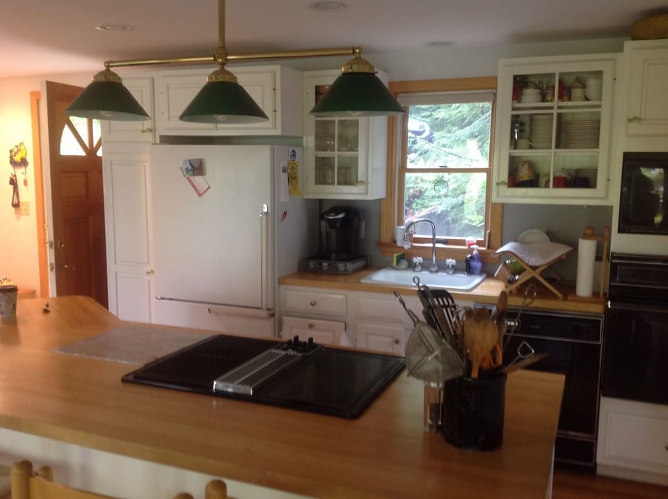 Kitchen with electric cooktop/ DW and microwave. 