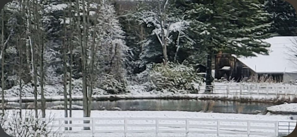 View in the winter 