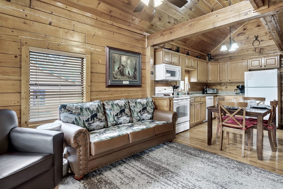 Living room has a queen sleeper sofa