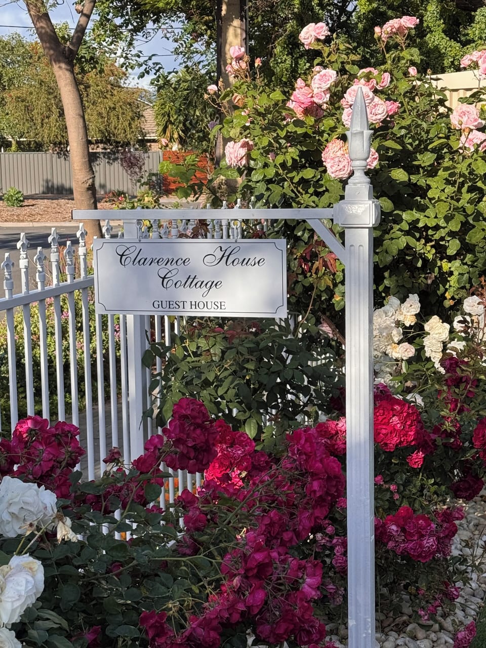 Front rose garden 