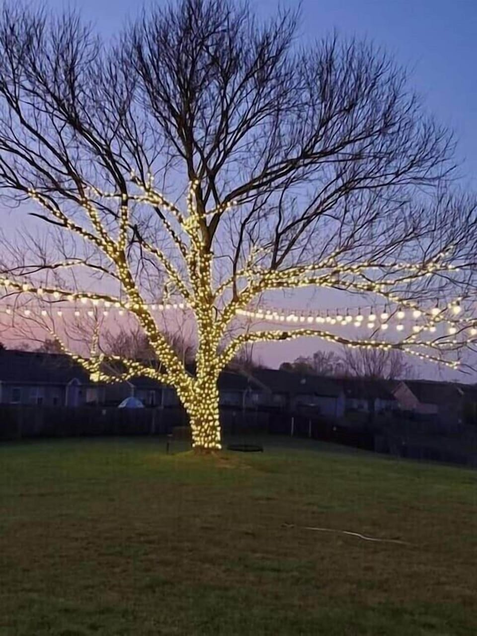 Exterior - Market Lighting