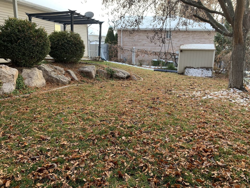 Plenty of space for outdoor relaxing and playing.  