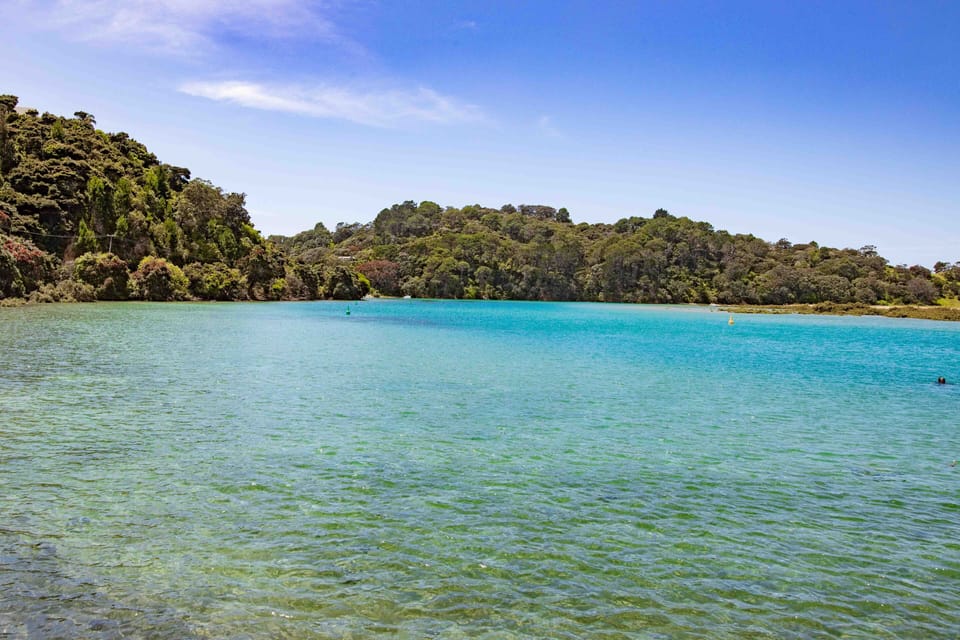 Whangapoua Harbour