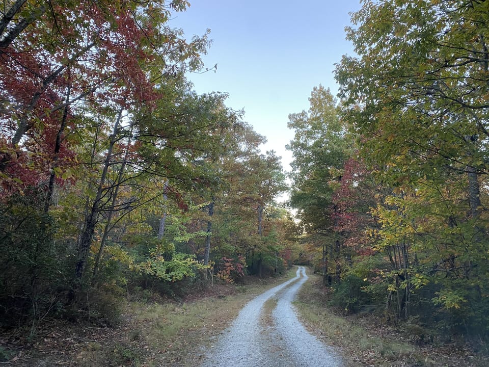 Drive on the way in. 